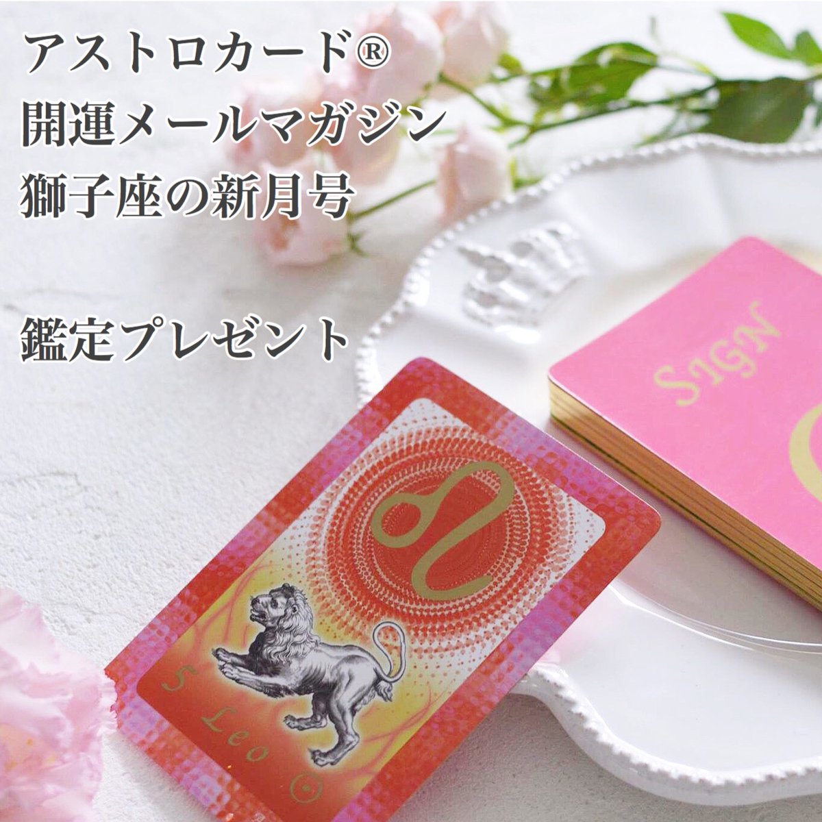 Thoth_Tarot's tweet photo. アストロカード®開運メルマガ
#獅子座新月号
明日7/29(金)21時にお送りします。

新月号では読者限定・鑑定プレゼント🎁✨

私・伊藤マーリンが直接鑑定します😊

#獅子座の新月 の開運メッセージも❤️

購読は無料です→https://t.co/dvLs1rJFc9

#西洋占星術 #星読み #オラクルカード #開運 https://t.co/4YeH0v47PE