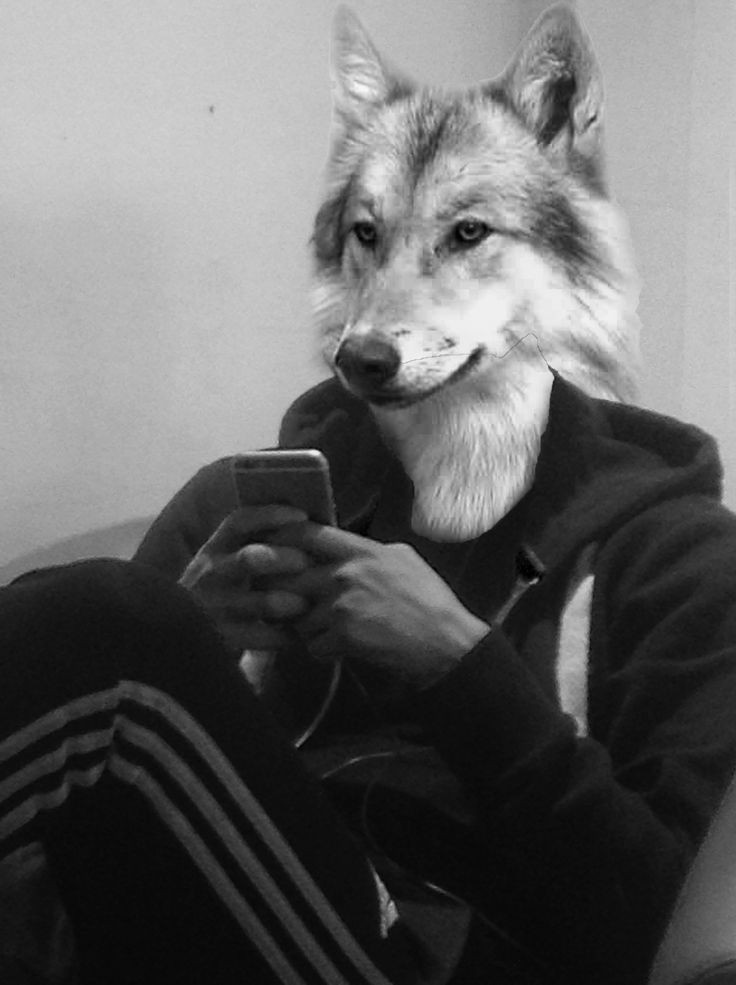 constellatehoon's tweet photo. Face reveal #stolenshot https://t.co/sI8kG76cJL