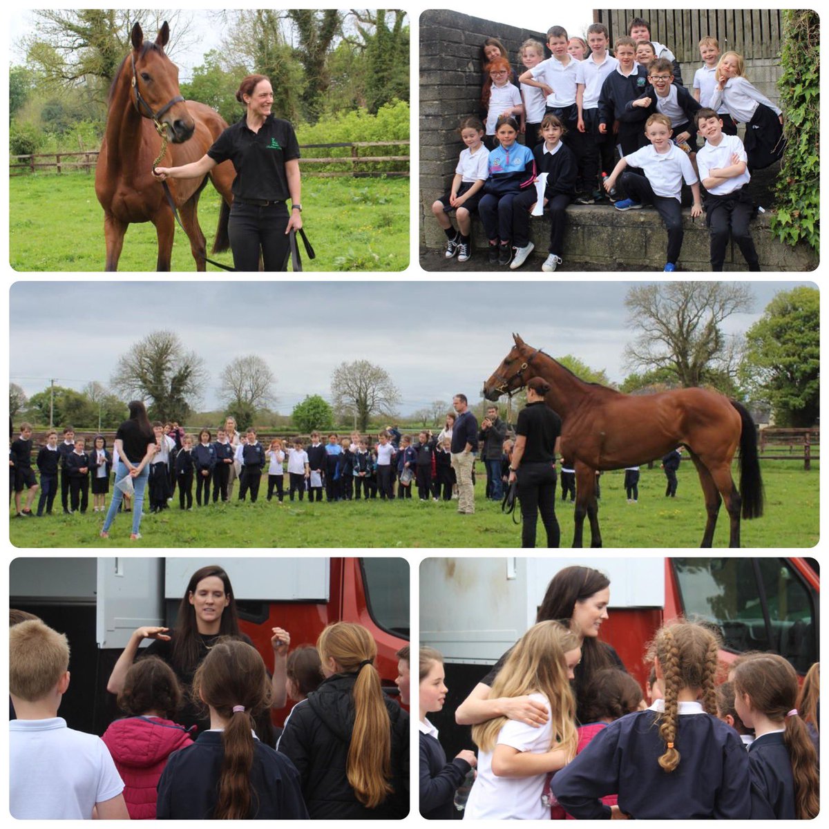 Pmolony1Peter's tweet image. As Honeysuckle’s ☀️summer hols at Rathmore come to an end, nice to get photos when local Manister Primary school came to visit the 👸 &amp;amp; @rachaelblackmor in May. @smolony #rathmorestud Can’t wait for season ahead @Fairyhouse @LeopardstownRC @CheltenhamRaces @punchestownrace 🤞🤞🤞