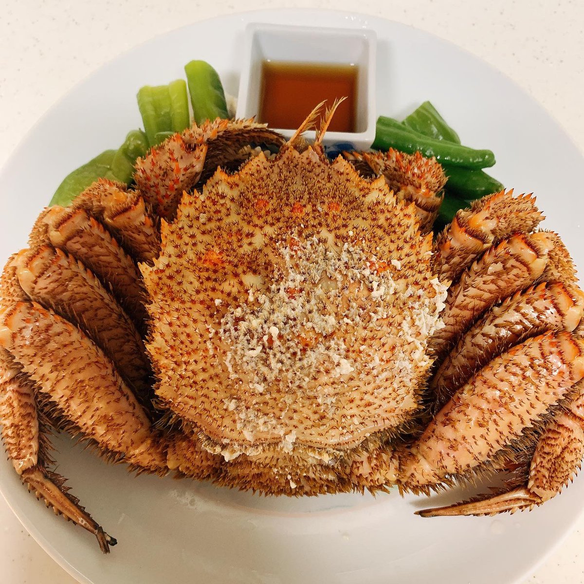 MayumiONO8's tweet photo. 蒸したてホカホカの毛蟹🦀🤗お豆腐の大葉黒味噌焼き🤗🍀インゲンの白味噌和え🤗🍀
#膠原病 #シェーグレン症候群 がいつのまにか治った #glutenfree な #おうちごはん😋 #無添加 #additivefree #organic☘️ #発酵発芽玄米🍚 #ジビエ🥩 #無肥料無農薬固定種のお野菜 🥬 #caffeineless☕️ #japan https://t.co/nQPa2wez1u