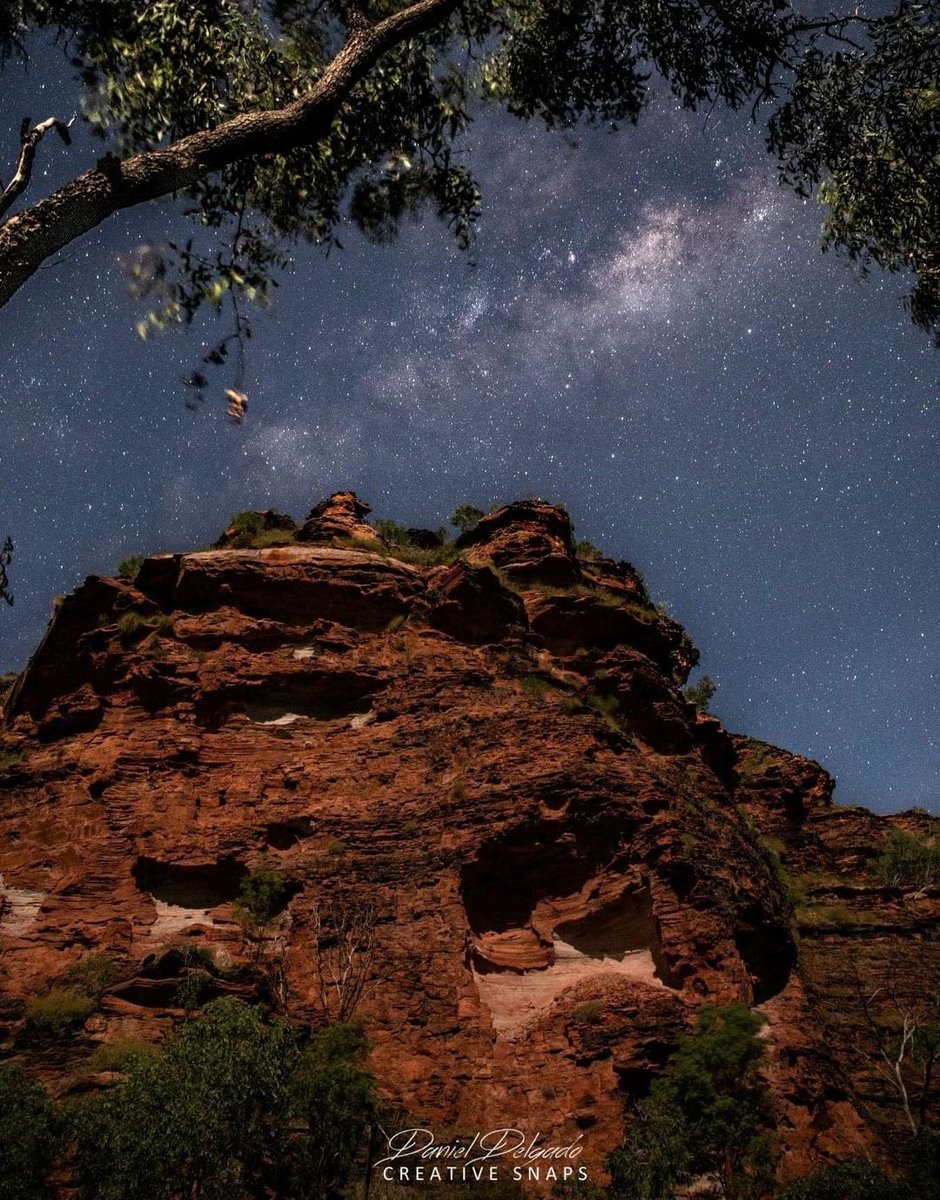 JayStill4's tweet photo. #WA #Mirima National Park, near #Kununurra
📷 Daniel Delgado https://t.co/RZ7dnu5rpO