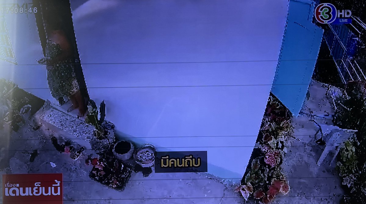 ฟอร์จูนที่มีหมา5ตัว tweet media