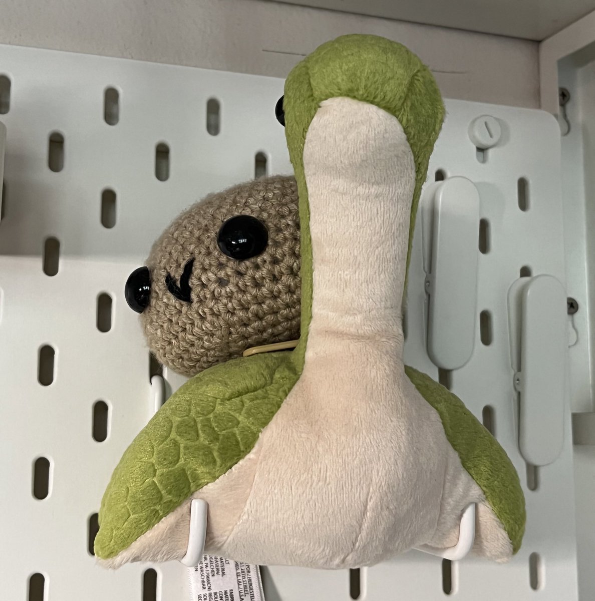 penelope 🦕 tweet media