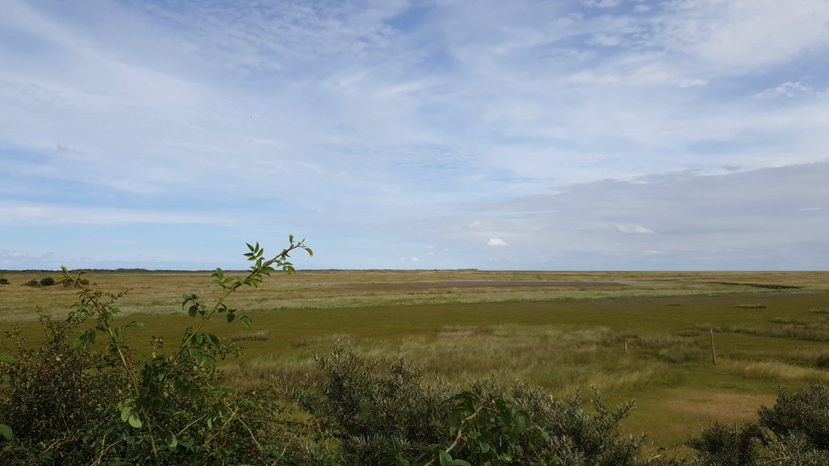 JPvanAlten's tweet photo. Vandaag eiland #schiermonnikoog rondgefietst...... vergezichten. https://t.co/fKRKP1tGew