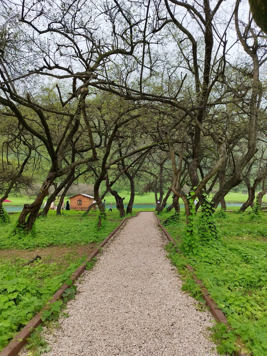 صورة اليوم من دربات الجميله 
#خريف_صلالة_2022