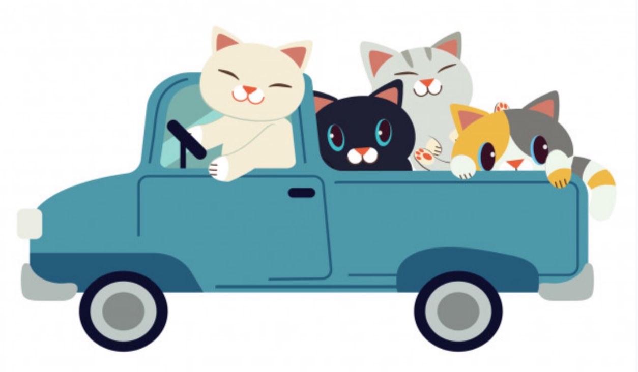 Котики нарисованные на автомобилях