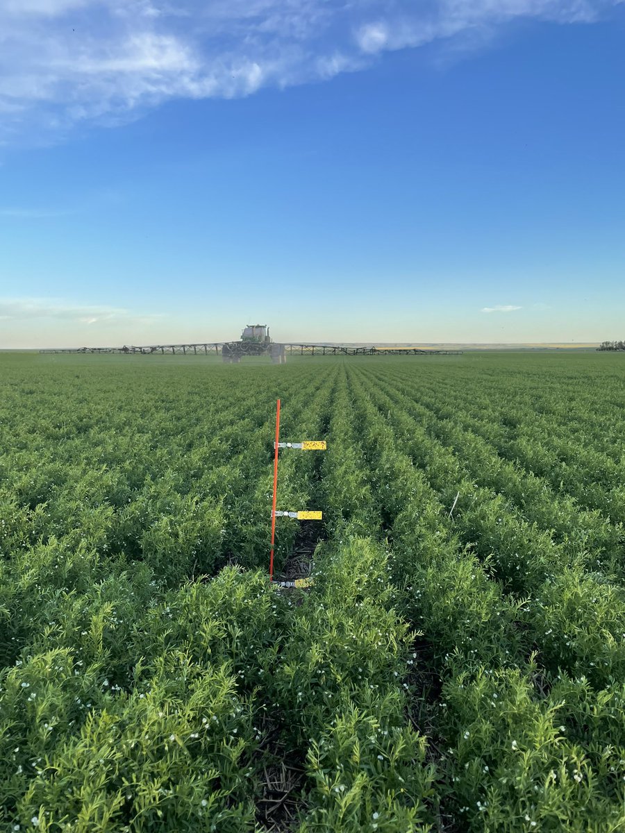 July’s AITP Action Challenge had us trialing Inter Lock. It will improve your spray pattern and deposition, while also reducing drift. @GMacsAgTeam @WinFieldCanada #WestCdnAg #WUCacademy