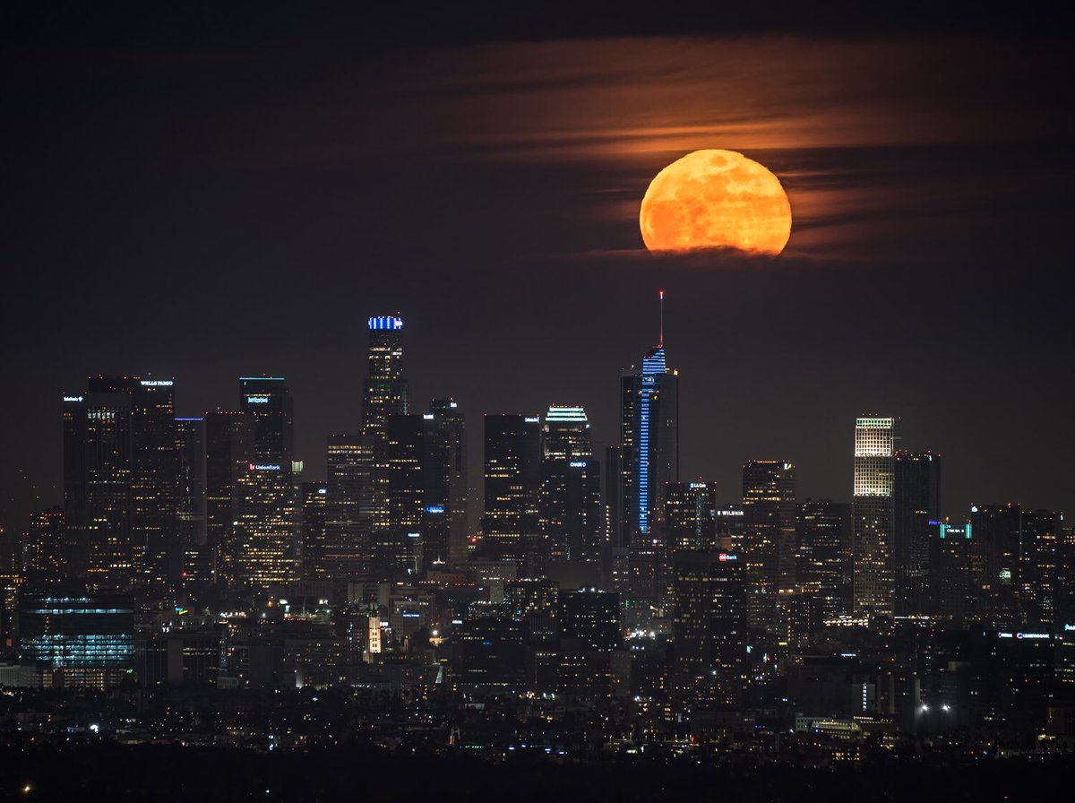 Brandon Yoshizawa tweet media