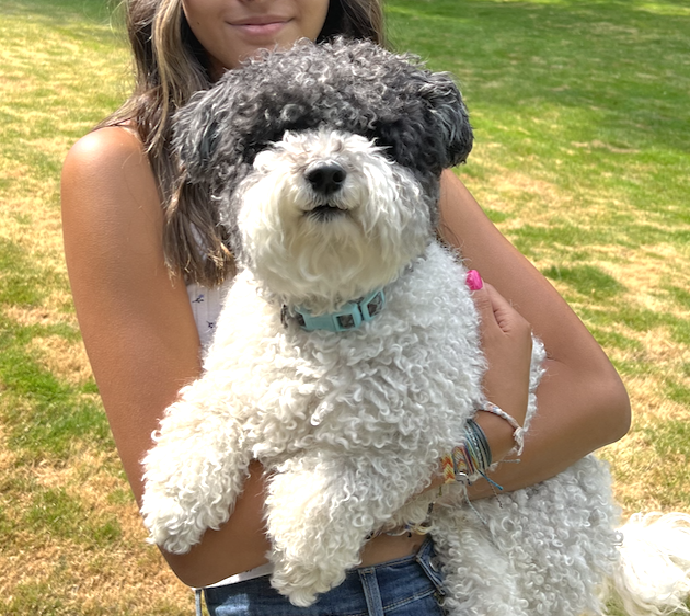 Buster says "Hi!" Share your dog pics in comments and I'll giveaway a <a href="/SadDinosNFT/">Sad Dinos</a> NFT to a random person!