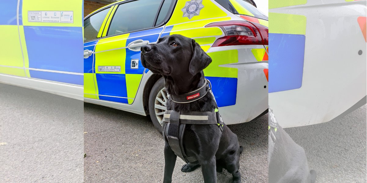 📸 Do you use Instagram?

👀 Want to see more of what our officers do within your communities?

➡️ Why not follow us at <a href="/Humberbeat/">Humberside Police</a>!

⚠️ WARNING: Includes plenty of cute animals... 🐶🐴

🔗 instagram.com/humberbeat/