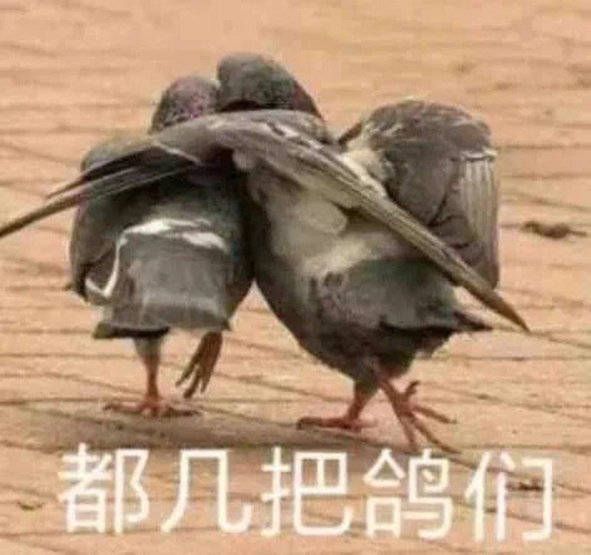 魔法少年烨二狗 tweet media