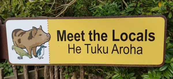 MScMultilingualism tweet media