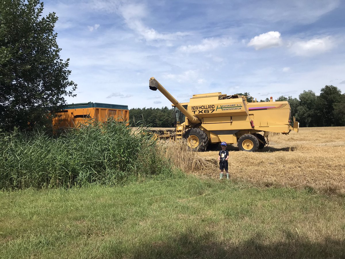 SUwland's tweet photo. #zomer #combinen #akker #oogst #rogge #gerst #stro #strohalen #vakantiewerk #Achterhoek #hobby #kleinebaaltjes #Winterswijk #Ford #NewHolland #droog #teambayerbenelux @BayerCropNL https://t.co/GF7UDEjhsG
