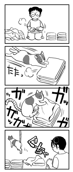 ねこと洗濯物 