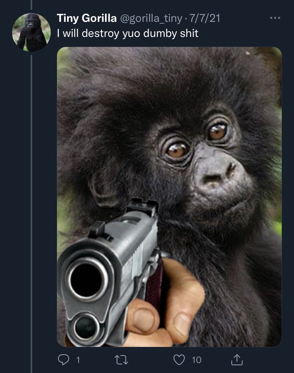 afool4apes's tweet image. 