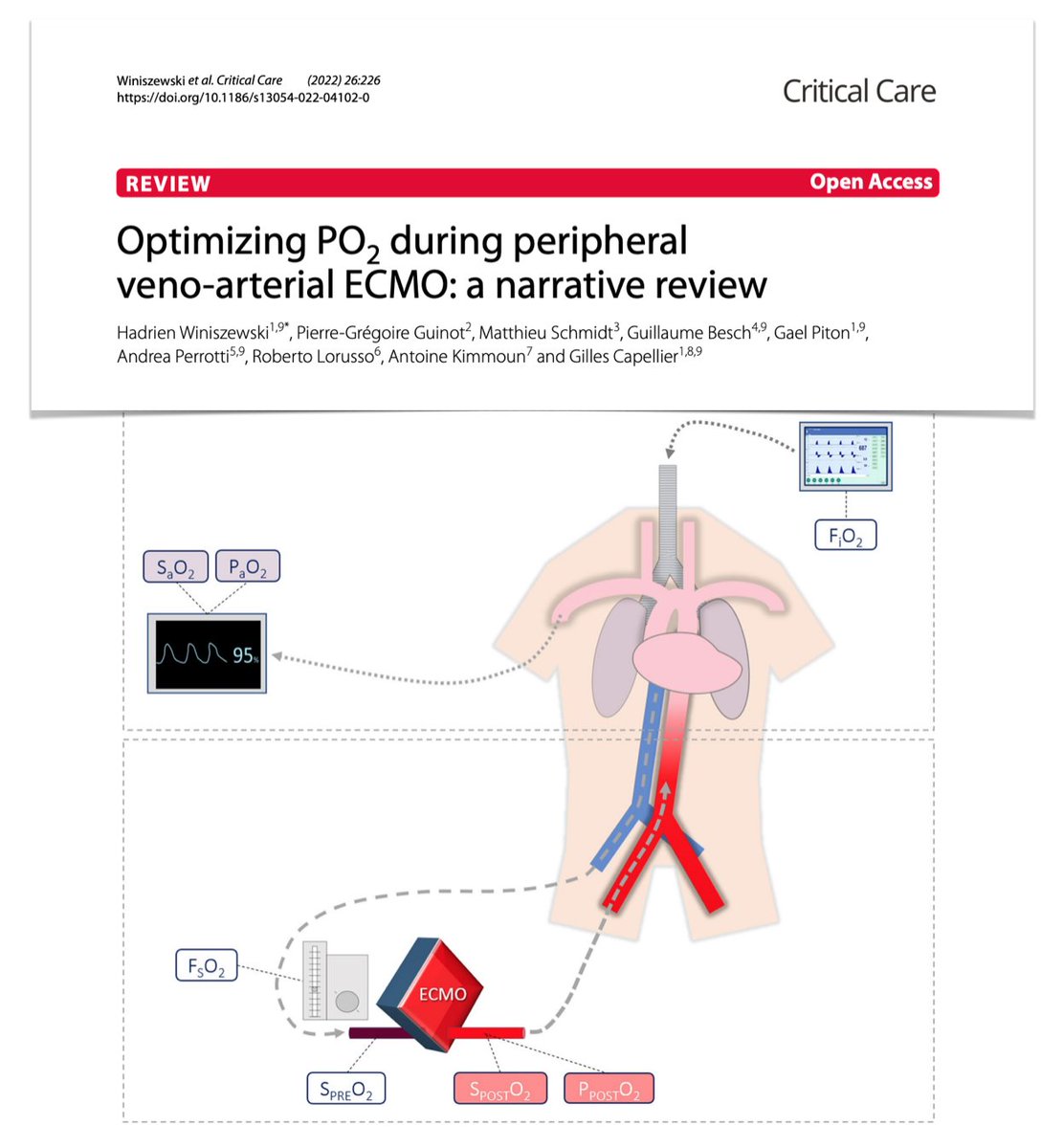 Optimizing PO2 on peripheral VA #ECMO
🩸what are we talking about? dual circulation &amp; mixing zone  
🩸extracorporeal &amp; systemic oxygenation on fem‑fem VA #ECLS
🩸bedside practices
🩸rationale for moderate post ML hyperoxemia (150 mmHg)
<a href="/Crit_Care/">Critical Care</a> #FOAMcc
🖇️rdcu.be/cSzXx