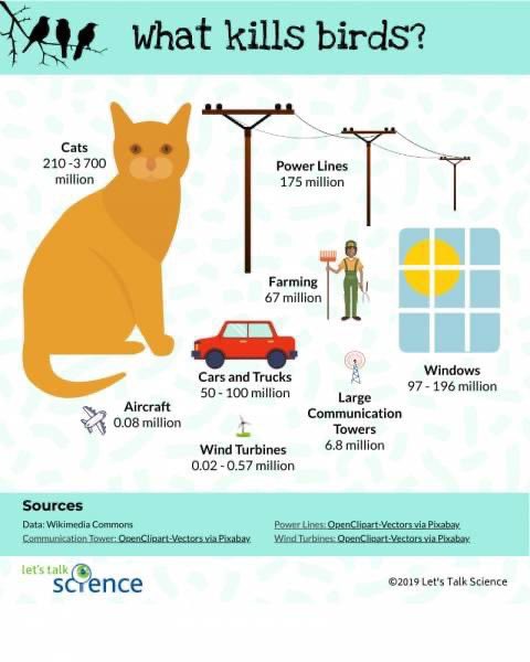 carlosmapalina's tweet photo. Si tienes #gatos y te importan las aves silvestres, la mejor  manera de ayudar a las aves es mantener a tus gatos al interior de tu casa. La tenencia responsable de las mascotas es una urgente necesidad para la conservación de la #Biodiversidad https://t.co/XOGQtKsPox