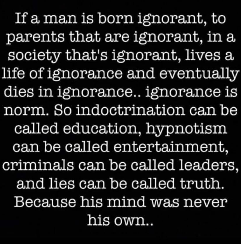 Ignorance is bliss for sheep...