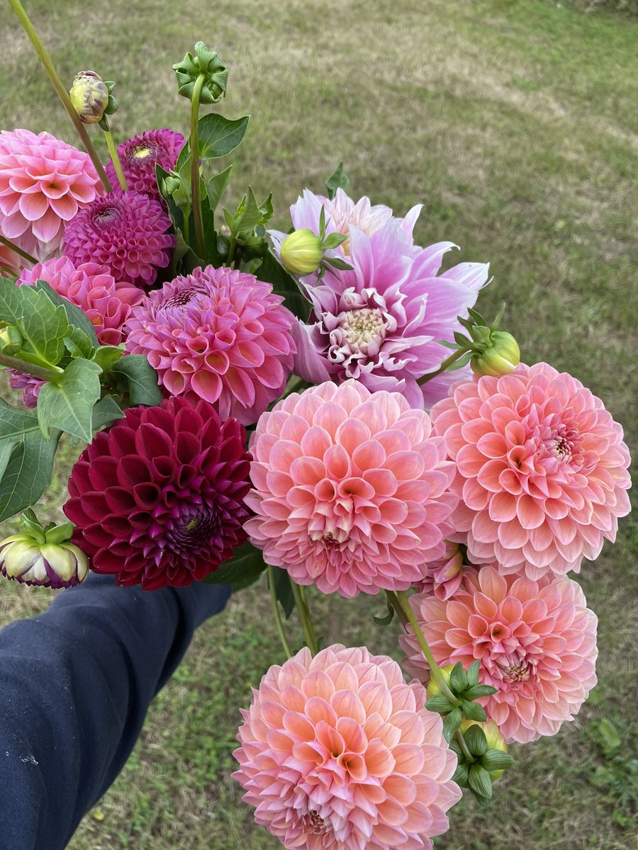 Alex Jack tweet media