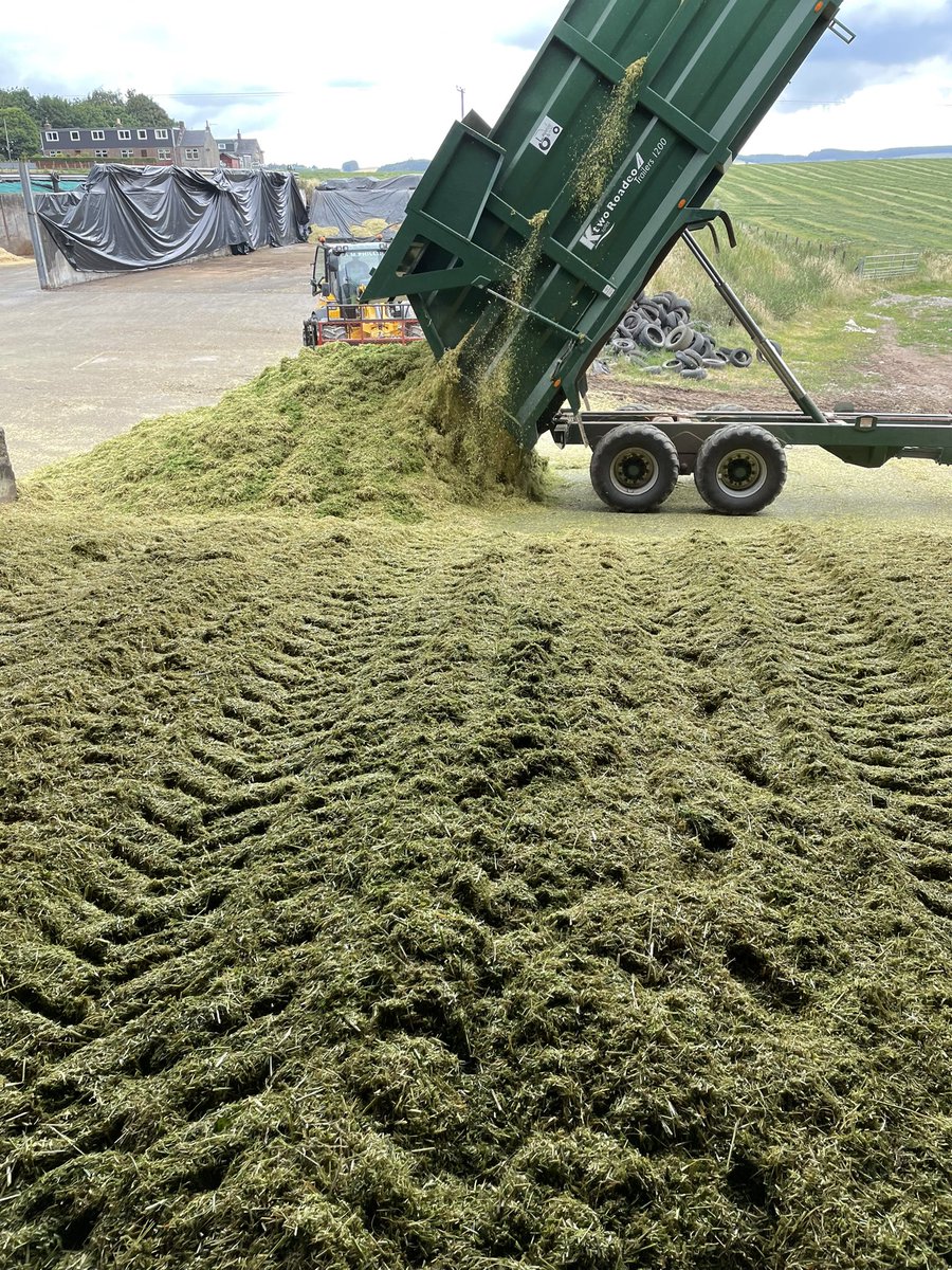 Alex Jack tweet media