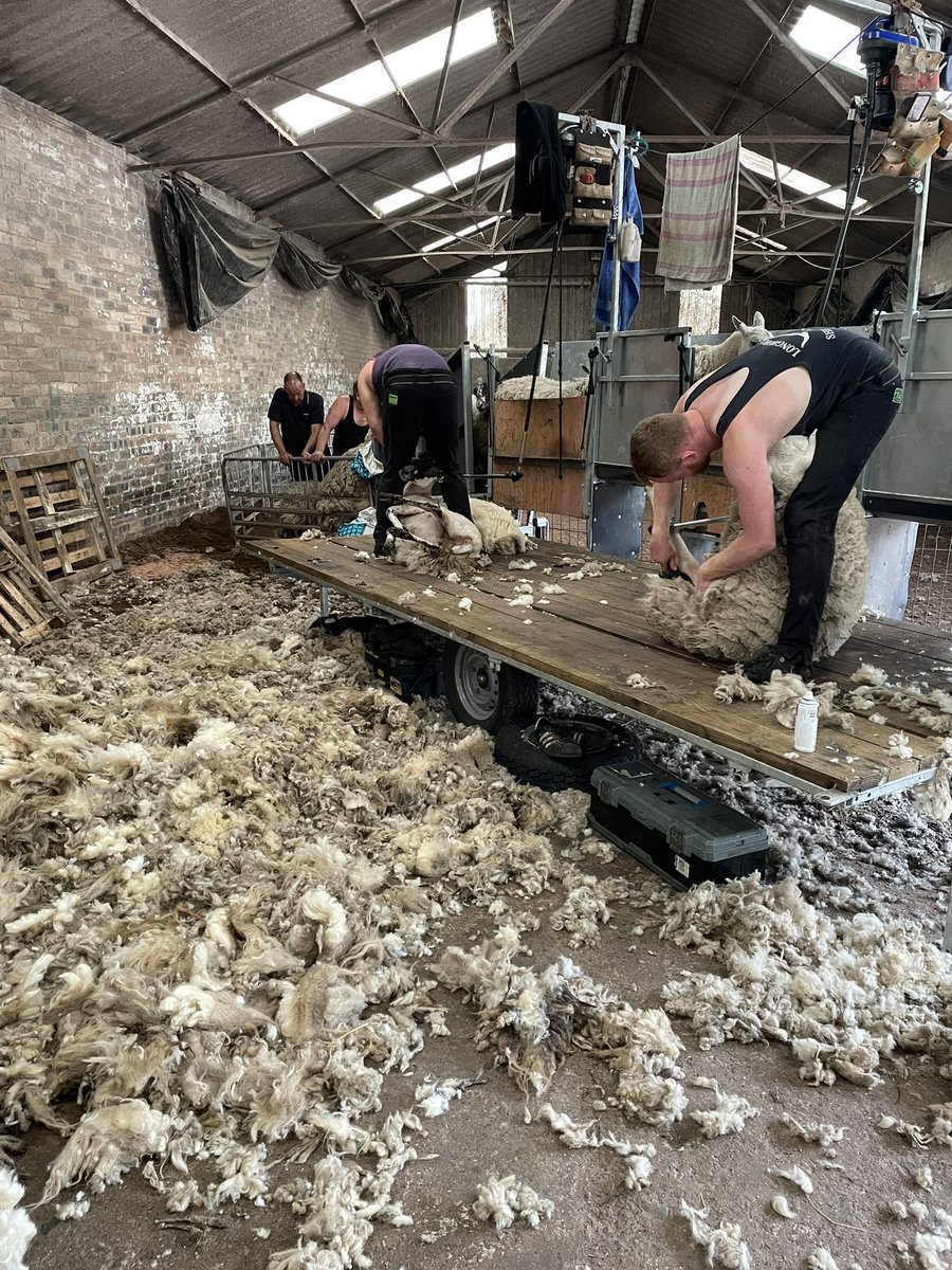 Alex Jack tweet media