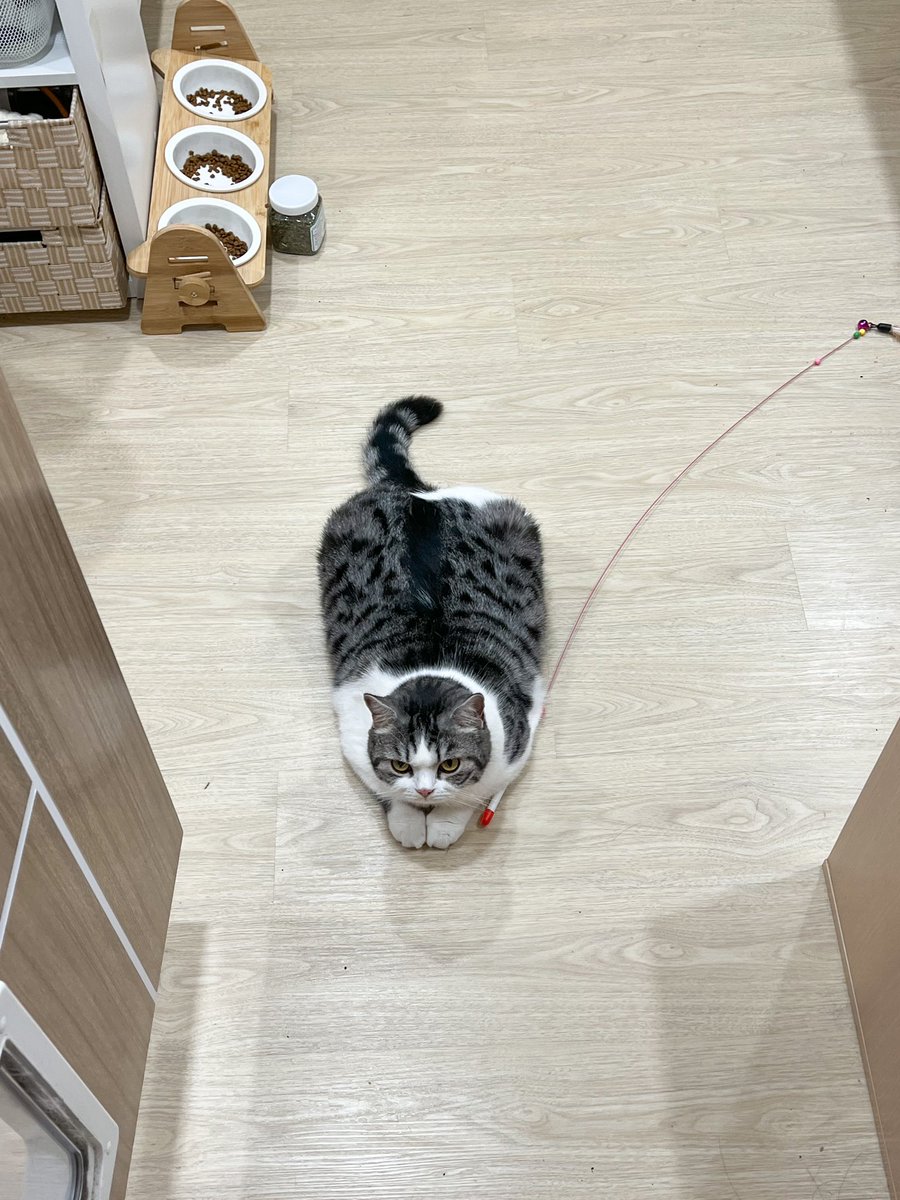 เปิดประตูมาเจอแบบเนี้ย ตกใจมะ 55555