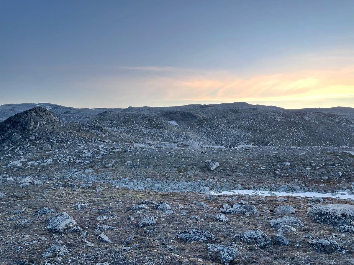 Dominik Sorger tweet media