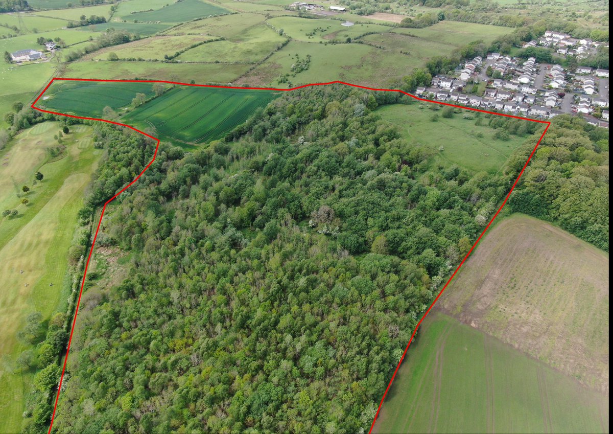 GoldcrestLfg's tweet image. #forsale: Birdston Wood &amp;amp; Land, East Dunbarton

Lot 1 – Birdston Wood – 9.7 Hectares 
Mixed broadleaved #woodland and possible residential/leisure #developmentpotential.
Offers Over £65K

Lot 2 – Birdston Fields – 3.8 Hectares
Two high-quality arable #fields.
Offers Over £70,000