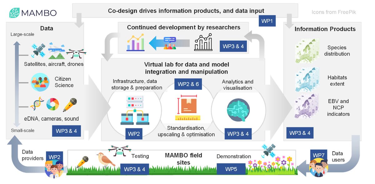 Deepa Senapathi (she/her) tweet media