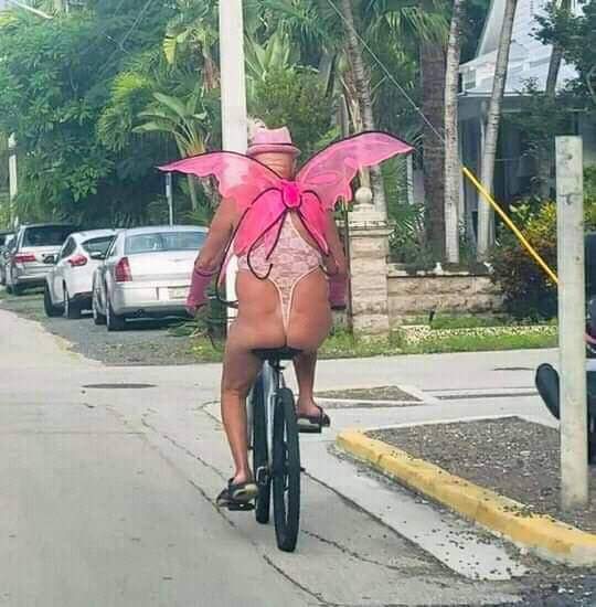 william1015's tweet image. Primeras imágenes de la mariposa Duque revoloteando por el país 🤣🤣🤣🤣🤣🤣