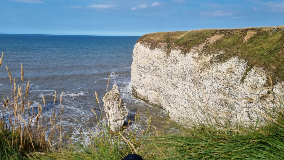 It feels sooooo good to be back outdoors but... sad to see kittiwakes, puffins and guillemots at flamborough head in decline, no where near the numbers I've seen in previous years