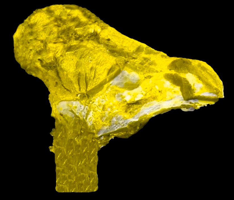 TwitchingMeatAS's tweet image. #Twitching meat is now available on 

@opensea: opensea.io/collection/twi…

Watch on @youtube: youtube.com/watch?v=J1Vohi…

#NFT #NFTs #NFTProject #NFTdrops 
#NFTCollection #nftart @garyvee #NFTdrop #Vegan 
#nftcollector #nftnews #ETH #BTC #meat #twitching