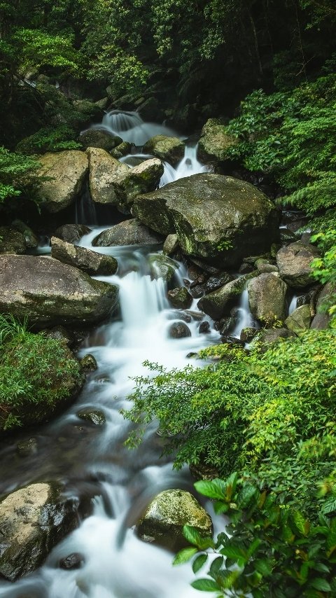 KigayeNathaniel's tweet photo. As beautiful as Nature https://t.co/0gabNbRkxe