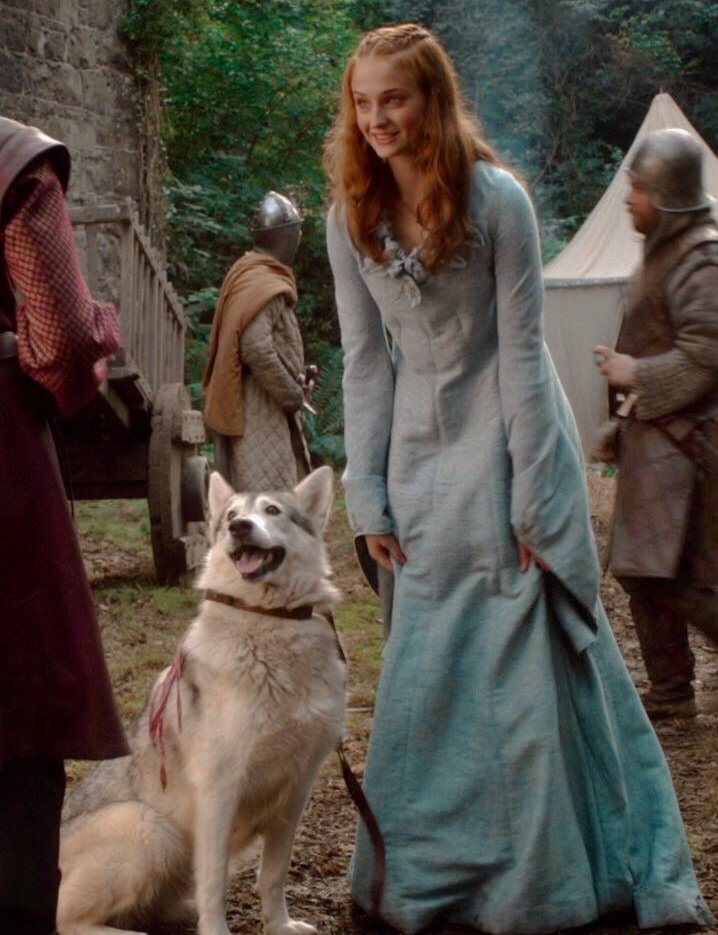 best of game of thrones tweet media