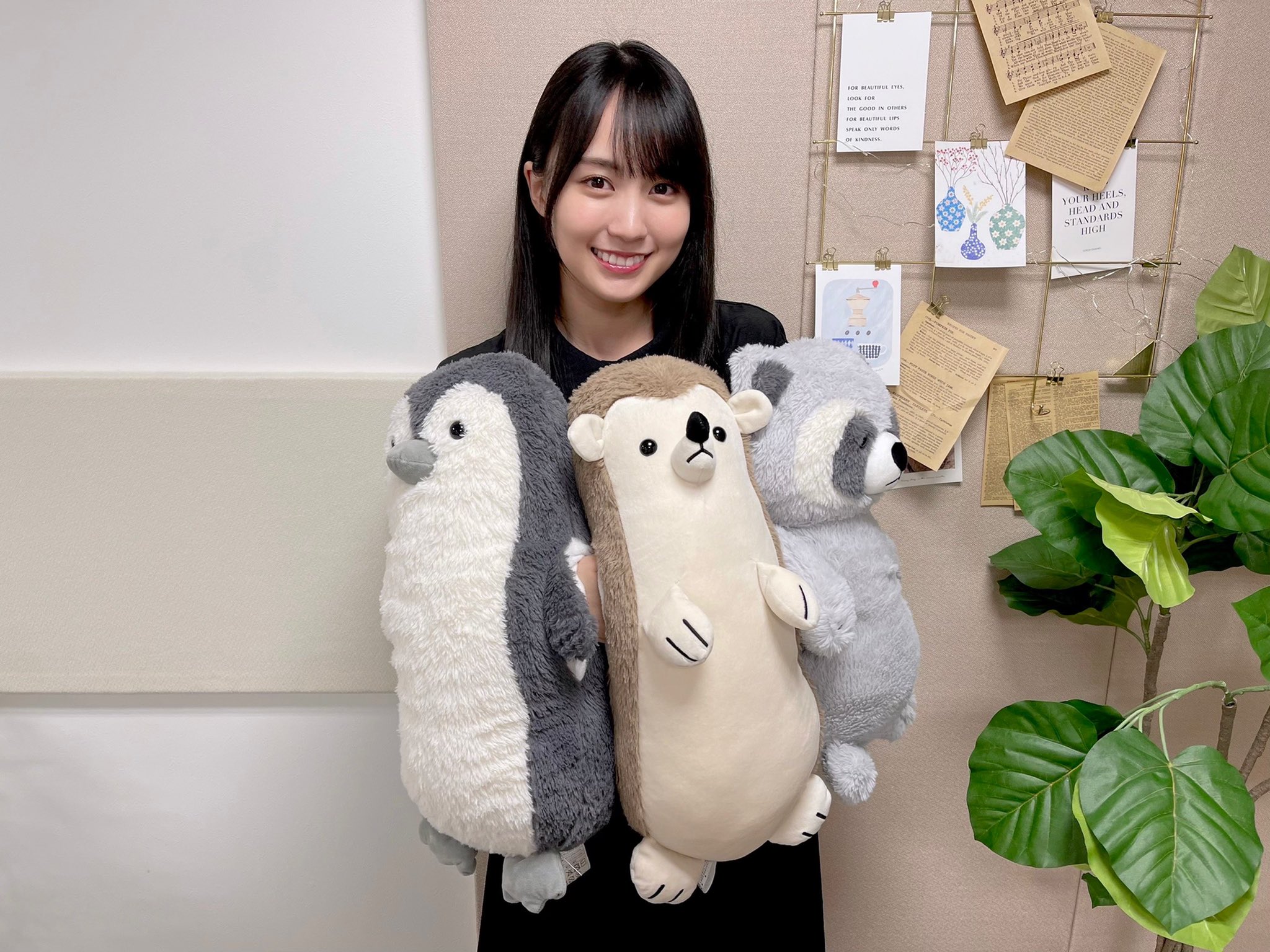 乃木坂46 on X: 