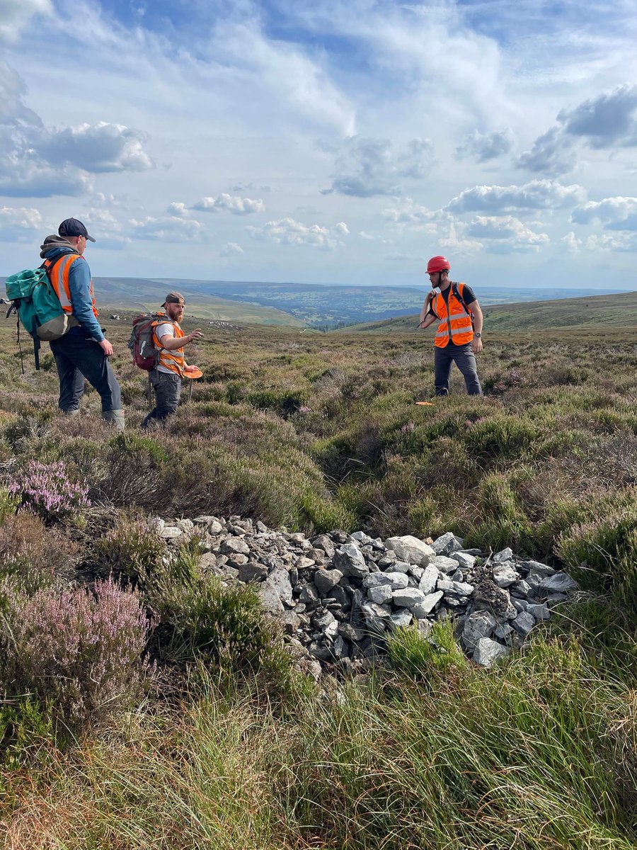 Conservefor Ltd tweet media