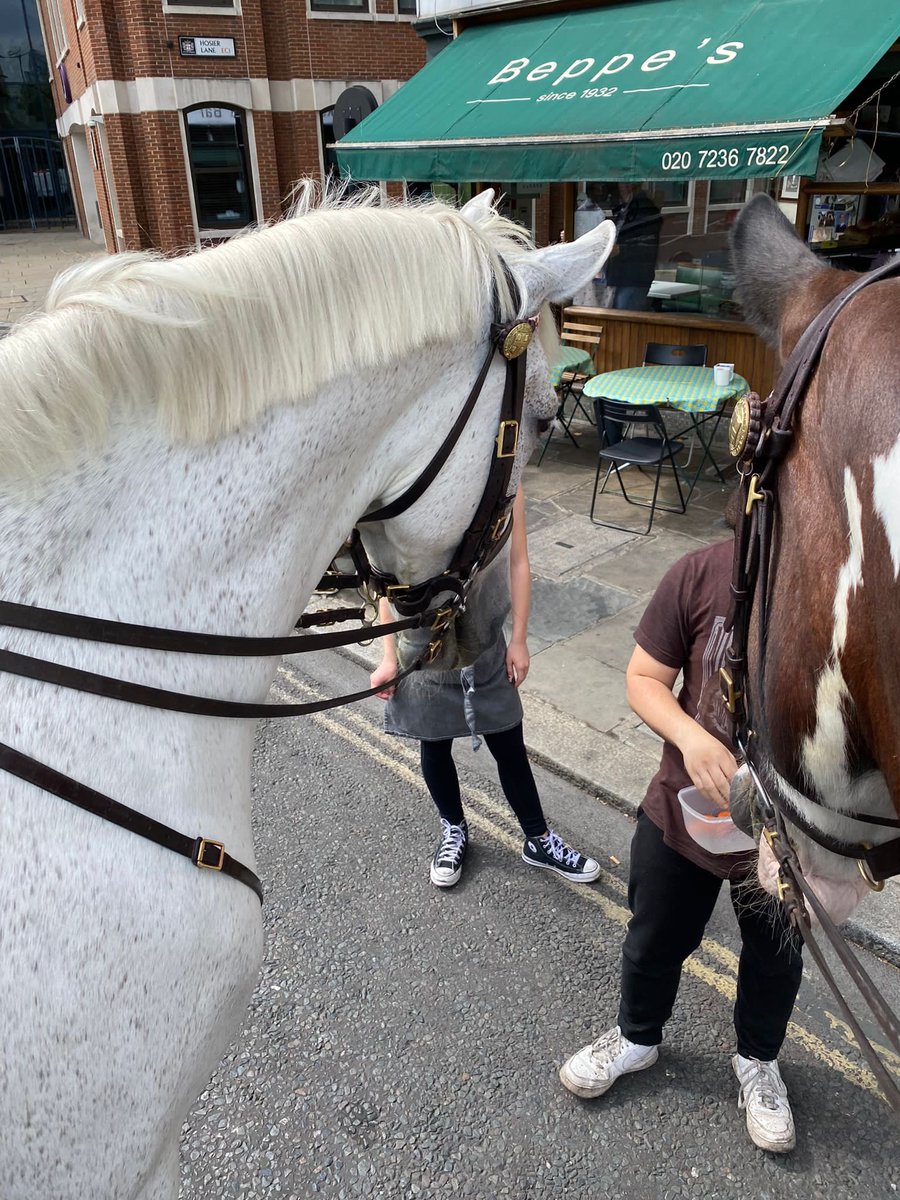 CityHorses's tweet photo. A well earned pit stop at Beppe’s Cafe, Smithfield is always the highlight of #PHIris and #PHGeorge City patrols. #PHIris  wants to point out that it is an optical illusion…. she did not eat one of the kind staff who supplied the carrot treats! 200CP https://t.co/ksBonWyHv6