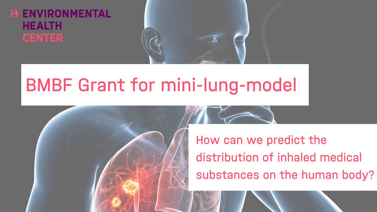 HelmholtzMunich's tweet photo. 👏#BMBF Grant for 🫁 mini-lung-method
@HelmholtzMunich researchers study the clinically observed transport of inhaled medical substances from the lung to the blood...
➡️https://t.co/GyDk5AsMRT
#Pharmakokinetik #Lungenmodell #OtmarSchmid @AliDoryab https://t.co/0ArR0bnABX