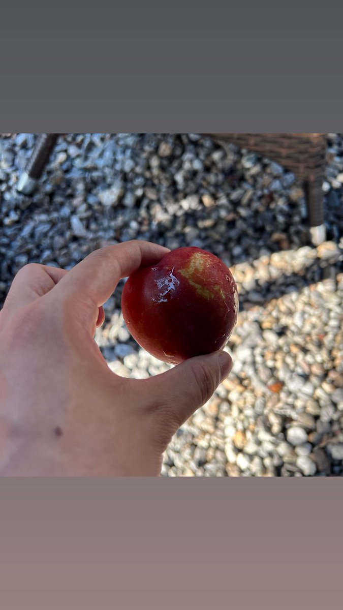 postboxham's tweet image. 220728 스토리