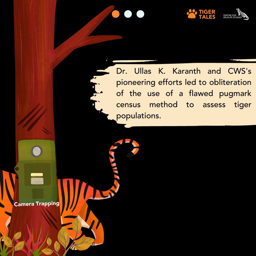 cwsindia's tweet photo. Chapter 6: Scientific Impact | Tiger Tales 2022
Illustration by Shivani Shenoy
#tiger #worldnatureconservationday #tigerconservation #ecology #stripes #dna #india #research #science #cameratrap #populationstudy #pugmark #learn #internationaltigerday #wildart #learn #nature https://t.co/hbWD7xewEV