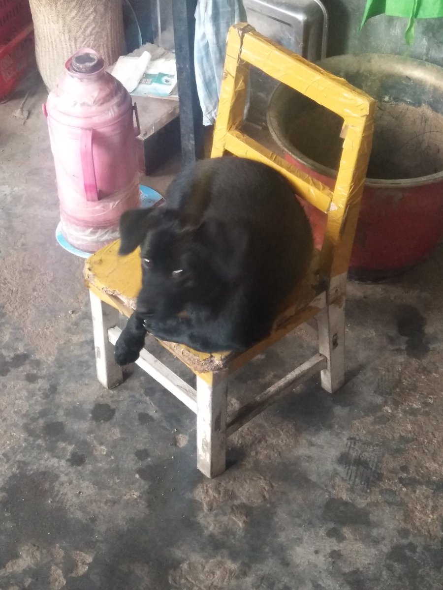 鱼鱼哦🖤~ (@yu_yu_bp) on Twitter photo 