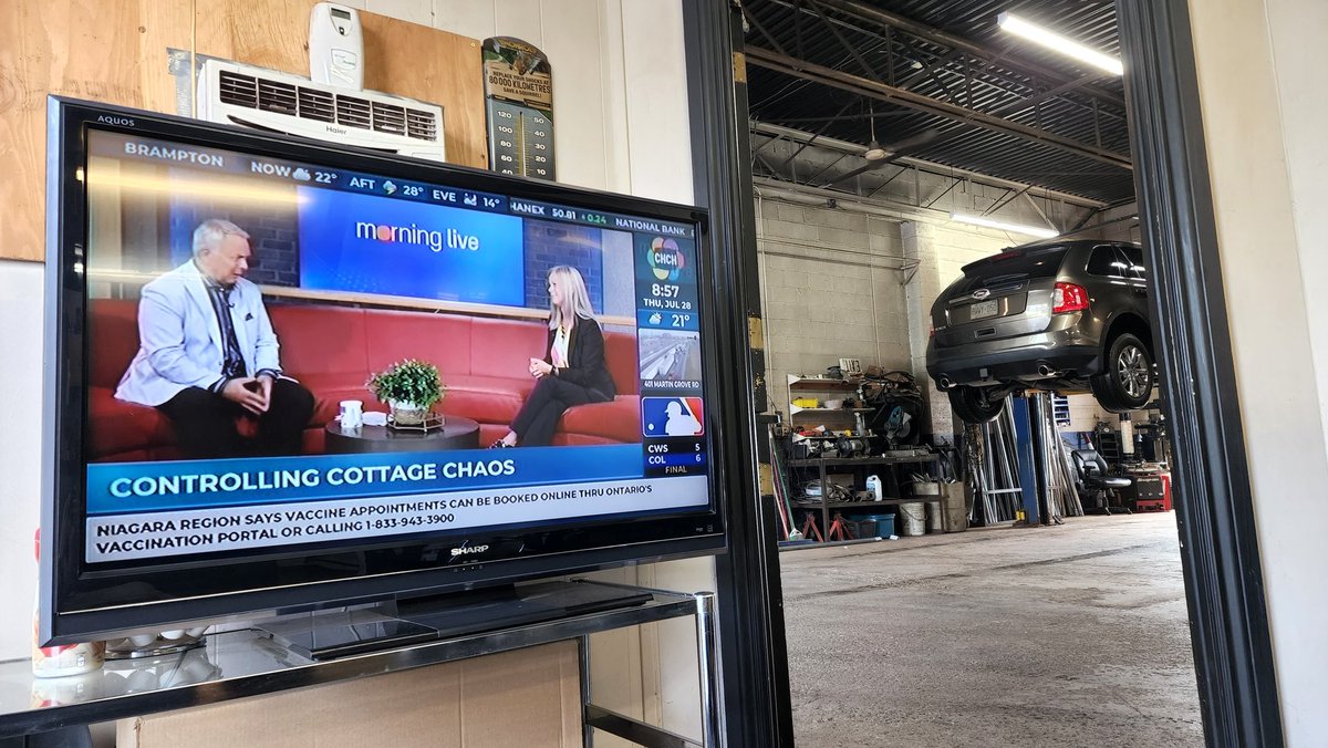 tansyko's tweet photo. Waiting for Charlie to get fixed and guess who's on the tele? @bobcowanchch @KathyBuckworth @morninglive #GoToGrandma #AffordableMufflerAndBrake https://t.co/5Hgk72qqwH