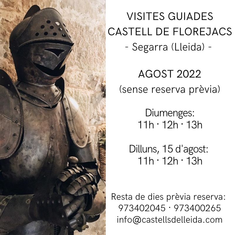 Castells de Lleida tweet media