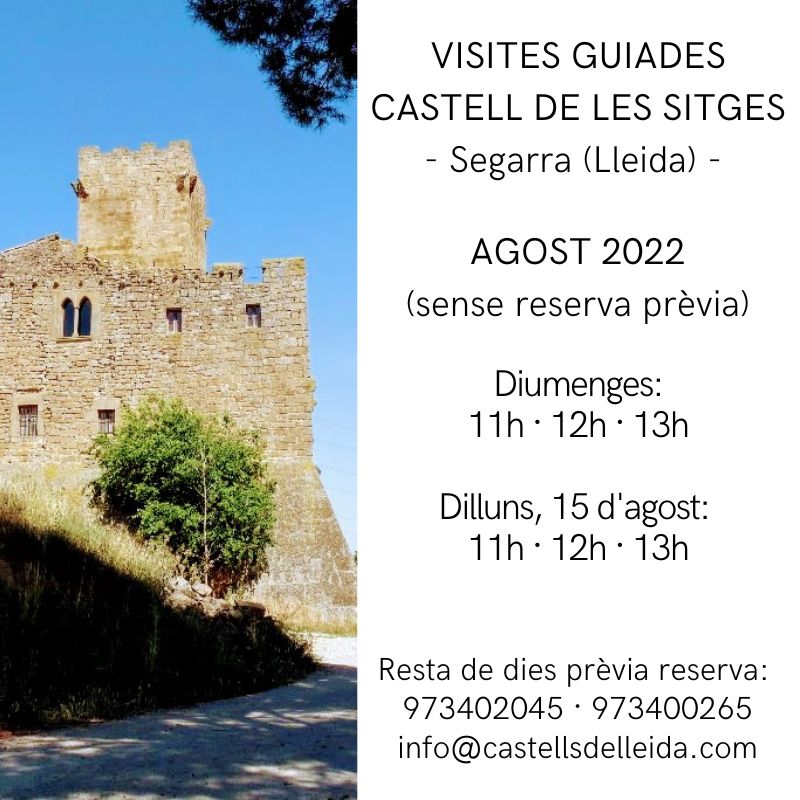 Castells de Lleida tweet media