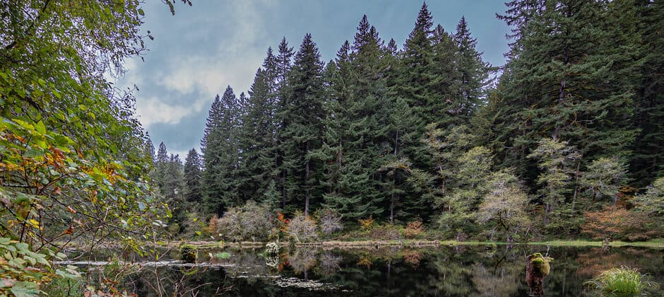 The Wildlife Society tweet media