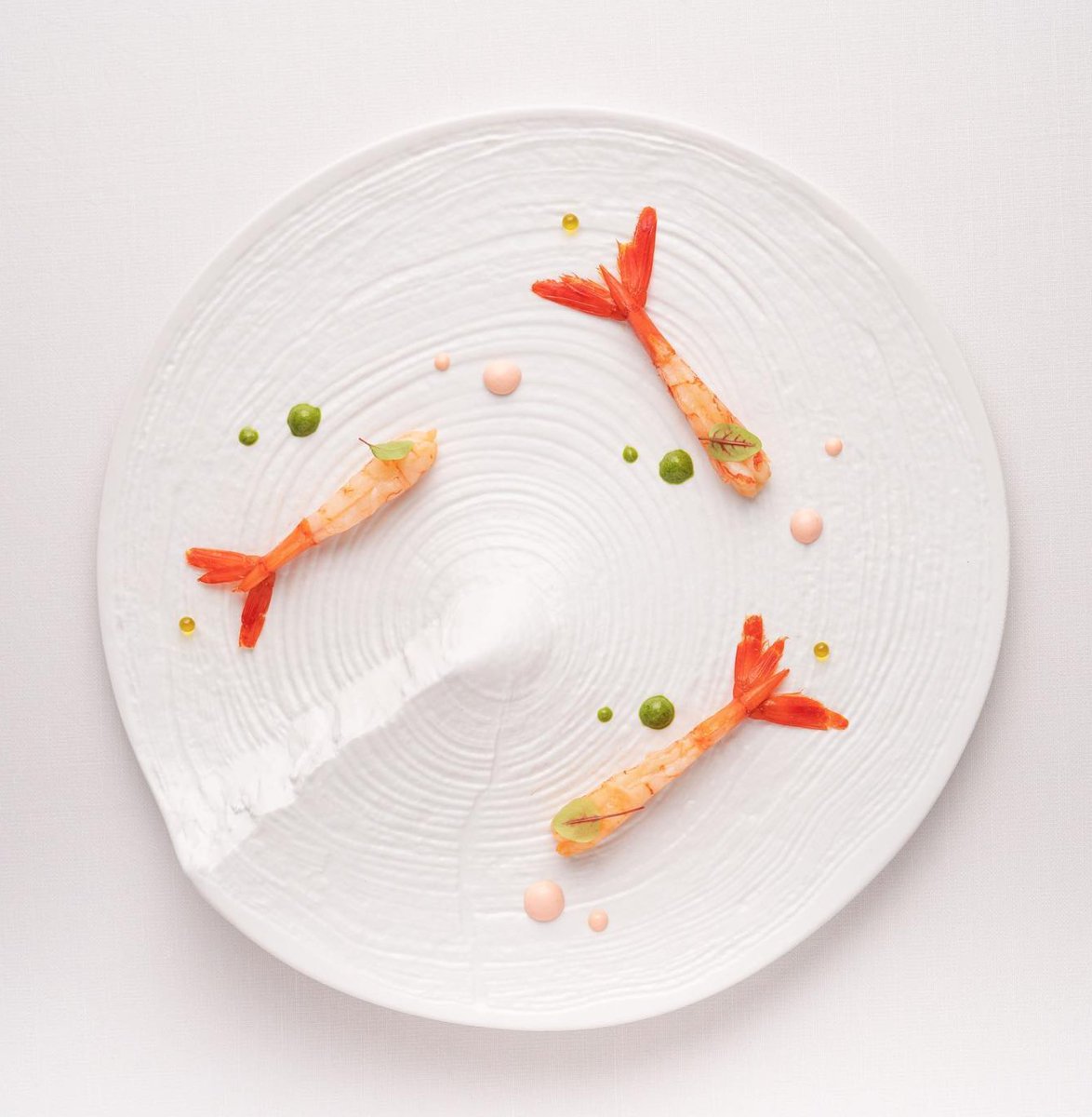 Pordamsa's tweet image. Mar&amp;amp;Montaña. Nos encanta la combinación del plato Arbre con gamas rojas del Mediterraneo. 🦐⁠
⁠
✨ Creación de Gioia Resto. ⁠
⁠
#pordamsa #pordamsaplates #handmadetableware #tableware #vajilla #vajillaartesanal #contemporarytableware #vajillacontemporanea #tablewaredesign