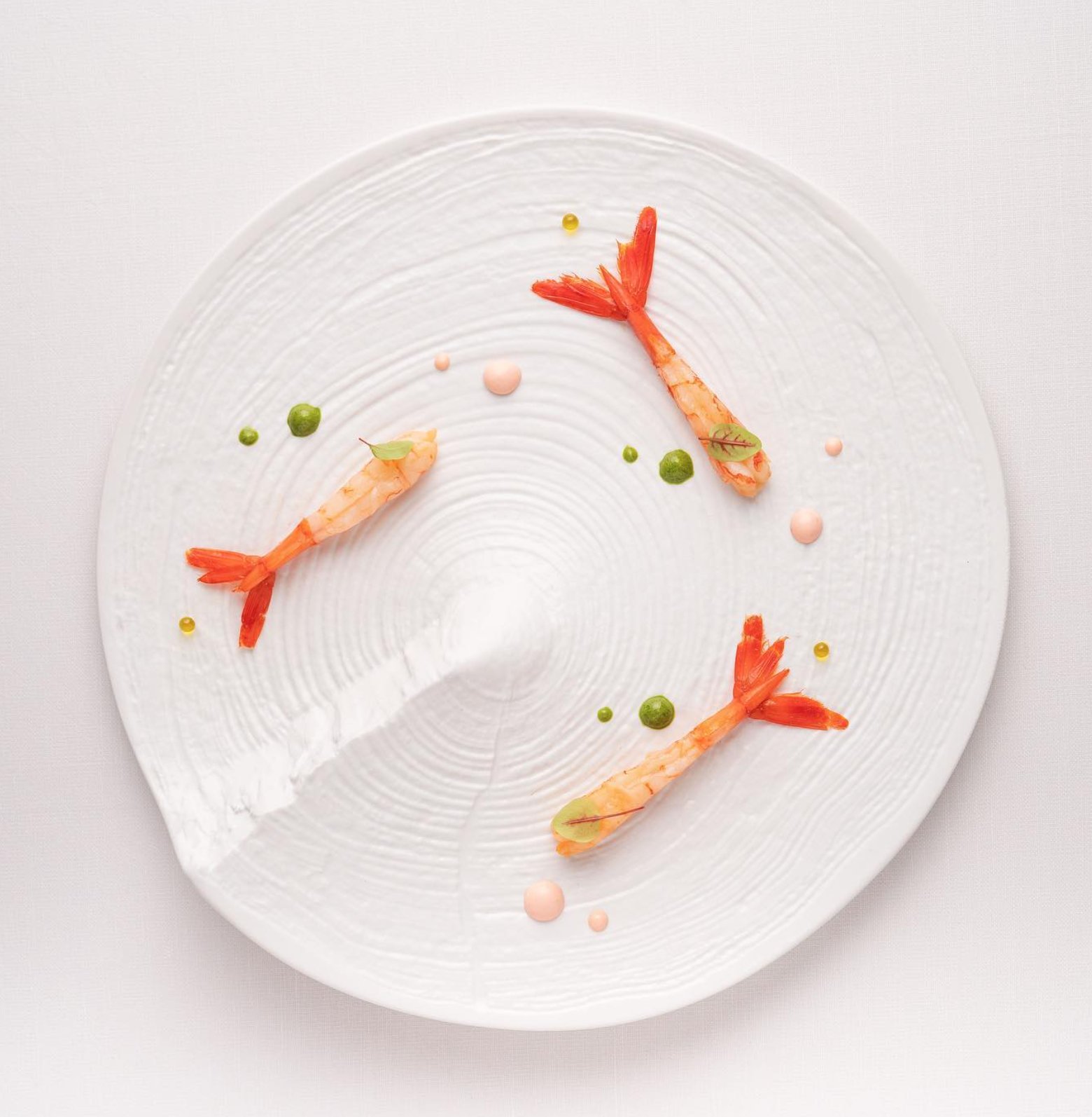 PordamsaDesignxChefs on X Mar Montana. Nos encanta la combinacion del plato Arbre con gamas rojas del Mediterraneo. Creacion de Gioia Resto. pordamsa pordamsaplates handmadetableware tableware vajilla...
