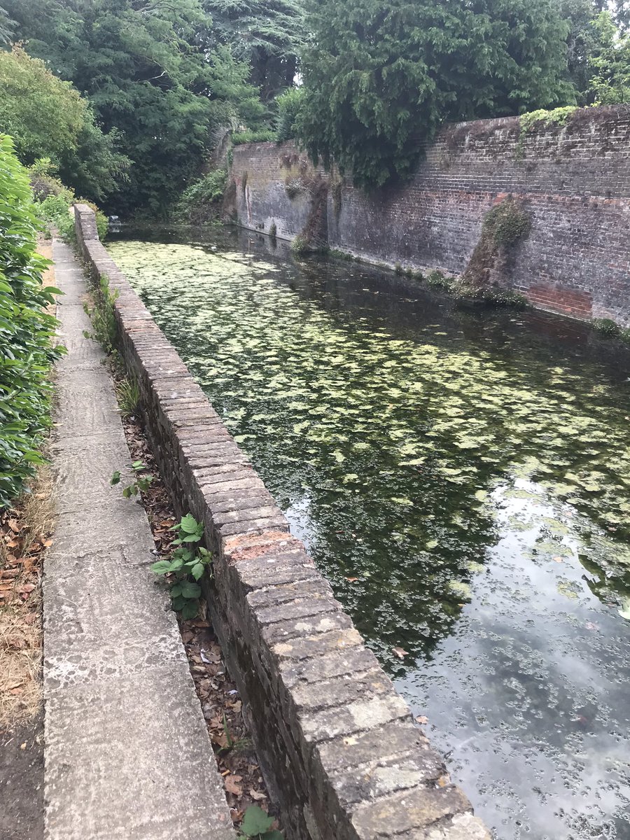 TubbyBats's tweet photo. Todays trip was to the #WellHall #Pleasaunce, it contains a #TudorBarn with moat and ornamental #garden. https://t.co/VkqpzKrpFf