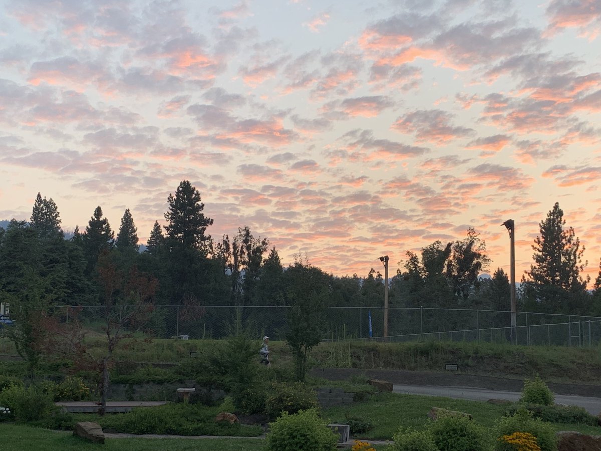 Mark Celestin tweet media