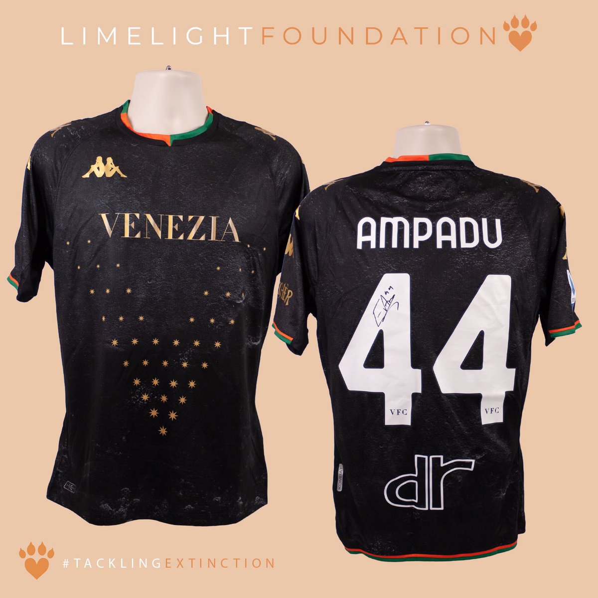 The Limelight Foundation (@thelimelightfdn) on Twitter photo Win a signed <a href="/ethanamp26/">Ethan Ampadu</a> <a href="/VeneziaFC_EN/">Venezia FC</a> shirt at The Limelight Foundation with all proceeds going towards wildlife conservation.
Visit <a href="/TheLimelightFDN/">The Limelight Foundation</a> website for a chance to win! 🐾
#TacklingExtinction
#Venezia #football #signedshirt #conservation #ampadu #ethanampadu Win a signed <a href="/ethanamp26/">Ethan Ampadu</a> <a href="/VeneziaFC_EN/">Venezia FC</a> shirt at The Limelight Foundation with all proceeds going towards wildlife conservation.
Visit <a href="/TheLimelightFDN/">The Limelight Foundation</a> website for a chance to win! 🐾
#TacklingExtinction
#Venezia #football #signedshirt #conservation #ampadu #ethanampadu
